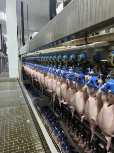 Воздушно-капельное охлаждение птицы