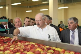 ОАО "Александрийское". Фруктохранилище.