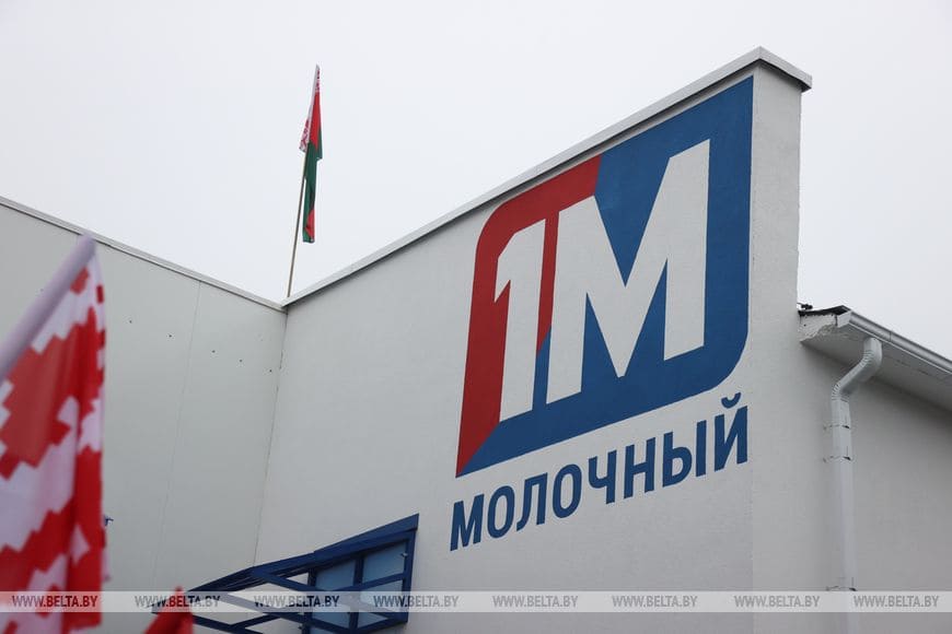 Производство сыров с белой плесенью наладили в Вилейке