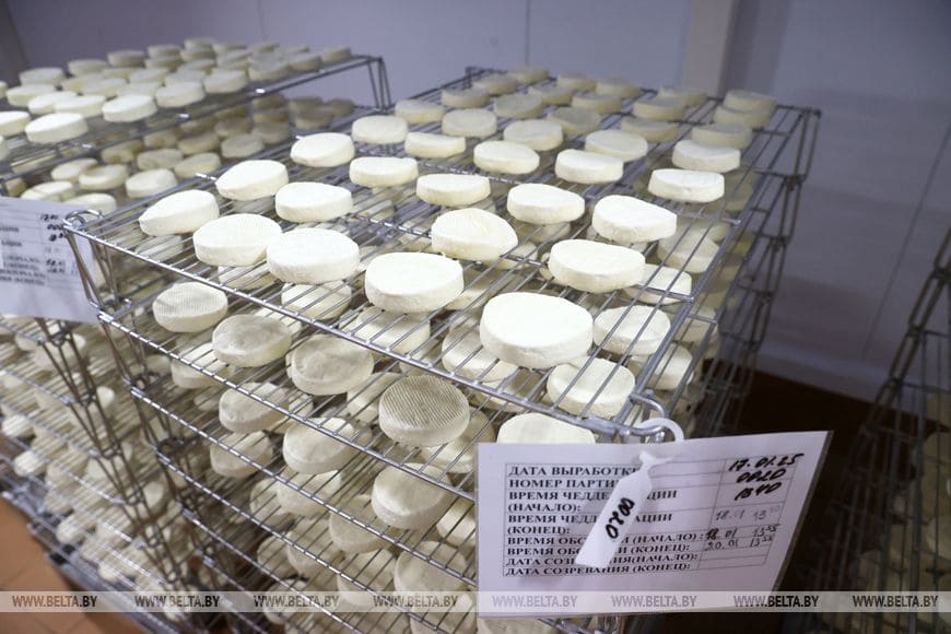 Производство сыров с белой плесенью наладили в Вилейке