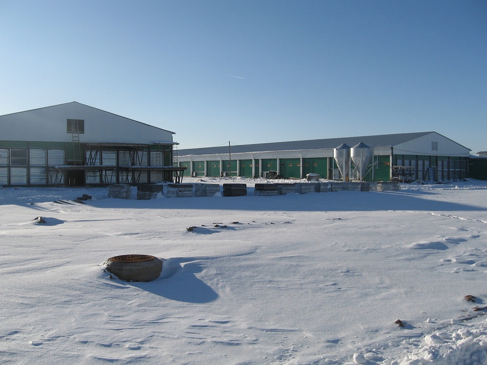 ОАО "Кленовичи"