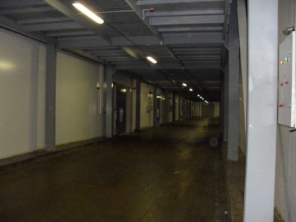 ОАО "Александрийское". Фруктохранилище.